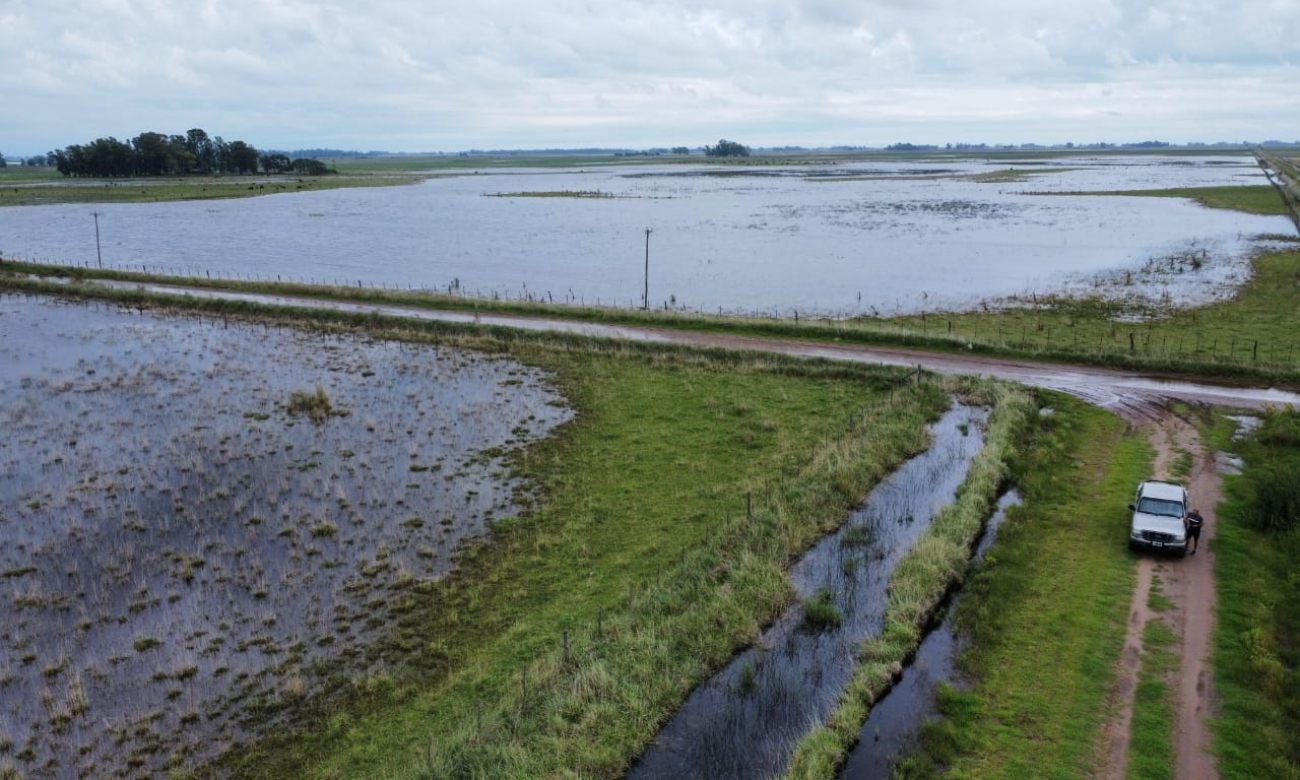 Un campo anegado en la provincia de Santa Fe tras un episodio de intensas lluvias. La imagen refleja el impacto de los excesos hídricos en zonas rurales. Foto de archivo.