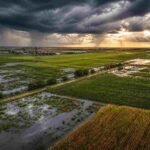 Foto de archivo. Un frente de tormenta avanza sobre una zona rural, en una imagen representativa de los fenómenos meteorológicos que pueden afectar la actividad agropecuaria y las condiciones climáticas en distintas regiones del país.