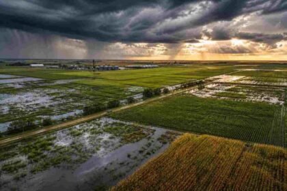 Foto de archivo. Un frente de tormenta avanza sobre una zona rural, en una imagen representativa de los fenómenos meteorológicos que pueden afectar la actividad agropecuaria y las condiciones climáticas en distintas regiones del país.