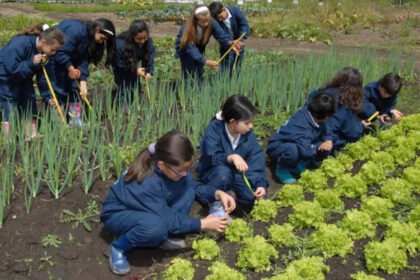 La huerta escolar se consolida como un espacio de aprendizaje, producción y contacto con la naturaleza en distintos establecimientos educativos del país.