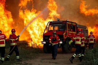 Bomberos y equipos de emergencia trabajan para contener los incendios forestales que afectan amplias regiones de España y Francia.