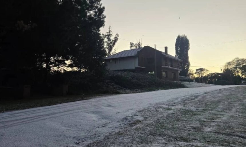 Una nevada cubre distintos sectores de Mar del Plata durante una jornada de bajas temperaturas provocadas por una ola de aire polar.