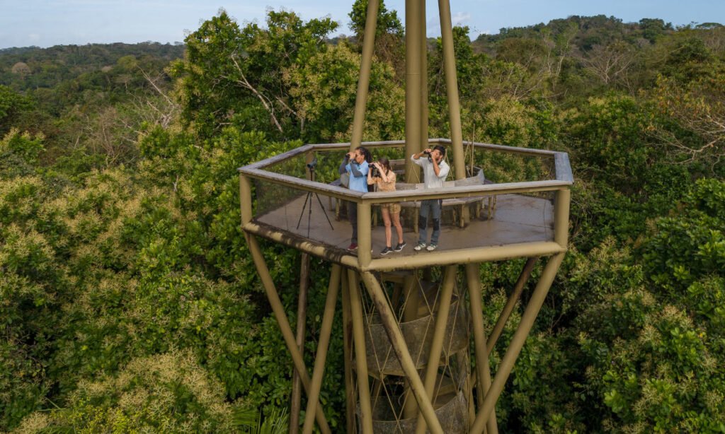 Los espacios naturales de Panamá ofrecen paisajes únicos de biodiversidad, con reservas que protegen selvas tropicales y una amplia variedad de especies. Foto de archivo.