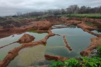 Excavaciones y movimientos de suelo realizados en el predio de la zona oeste, donde se detectaron irregularidades y posibles daños ambientales. Foto: gentileza.