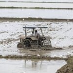 Campo anegado en la provincia de Santa Fe tras intensas lluvias. Foto de archivo.