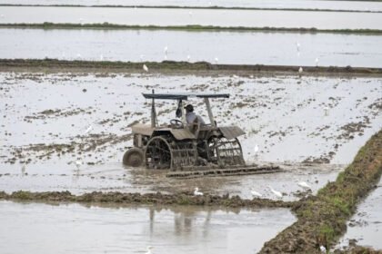 Campo anegado en la provincia de Santa Fe tras intensas lluvias. Foto de archivo.