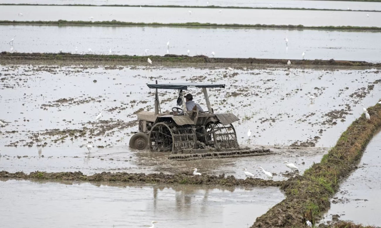 Campo anegado en la provincia de Santa Fe tras intensas lluvias. Foto de archivo.