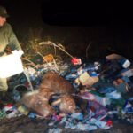 Personal de la Guardia Rural Los Pumas durante un operativo de prevención y control de fauna silvestre.