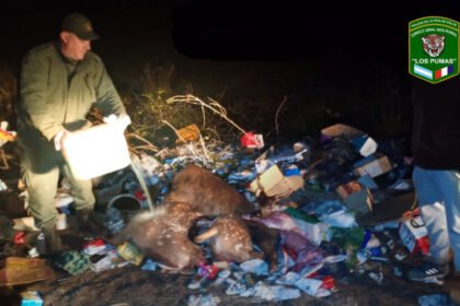 Personal de la Guardia Rural Los Pumas durante un operativo de prevención y control de fauna silvestre.