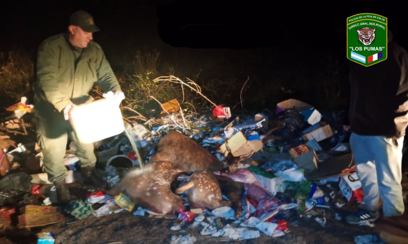 Personal de la Guardia Rural Los Pumas durante un operativo de prevención y control de fauna silvestre.