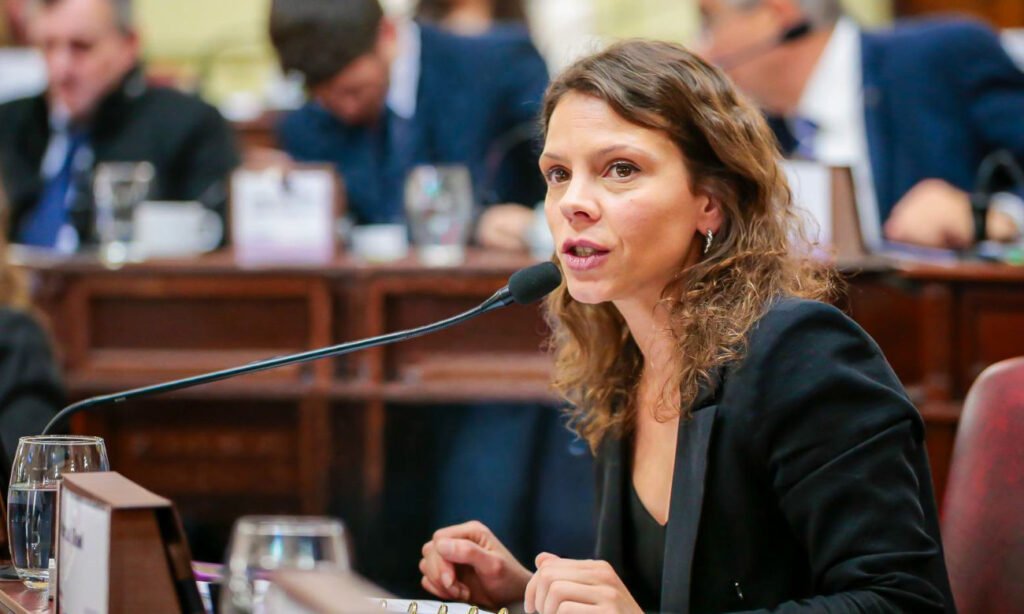 Gisel Mahmud durante una sesión en la Legislatura de Santa Fe. Foto de archivo.