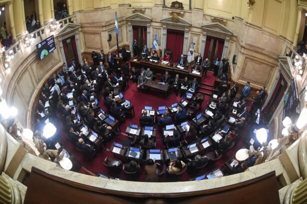 Vista del recinto de la Cámara de Senadores de la Nación durante una sesión legislativa en el Congreso Nacional. Foto de archivo.