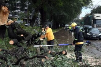 Personal municipal trabaja en distintos sectores de la ciudad para despejar la vía pública y atender las incidencias provocadas por el temporal. Foto: archivo.