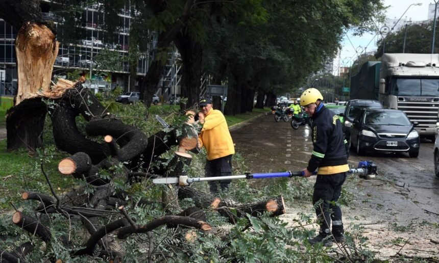 Personal municipal trabaja en distintos sectores de la ciudad para despejar la vía pública y atender las incidencias provocadas por el temporal. Foto: archivo.