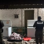 Personal de Los Pumas durante un procedimiento realizado en el marco de investigaciones por delitos rurales.
