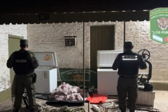 Personal de Los Pumas durante un procedimiento realizado en el marco de investigaciones por delitos rurales.