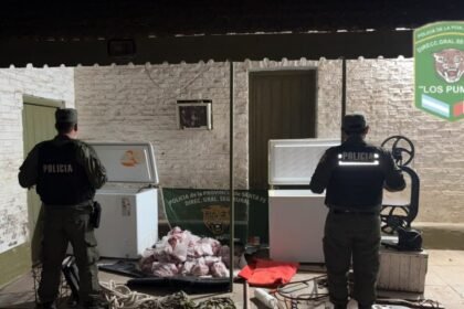 Personal de Los Pumas durante un procedimiento realizado en el marco de investigaciones por delitos rurales.