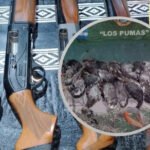 Las escopetas y los patos silvestres secuestrados durante el procedimiento realizado por la Guardia Rural Los Pumas en Huanqueros. Foto: Los Pumas.