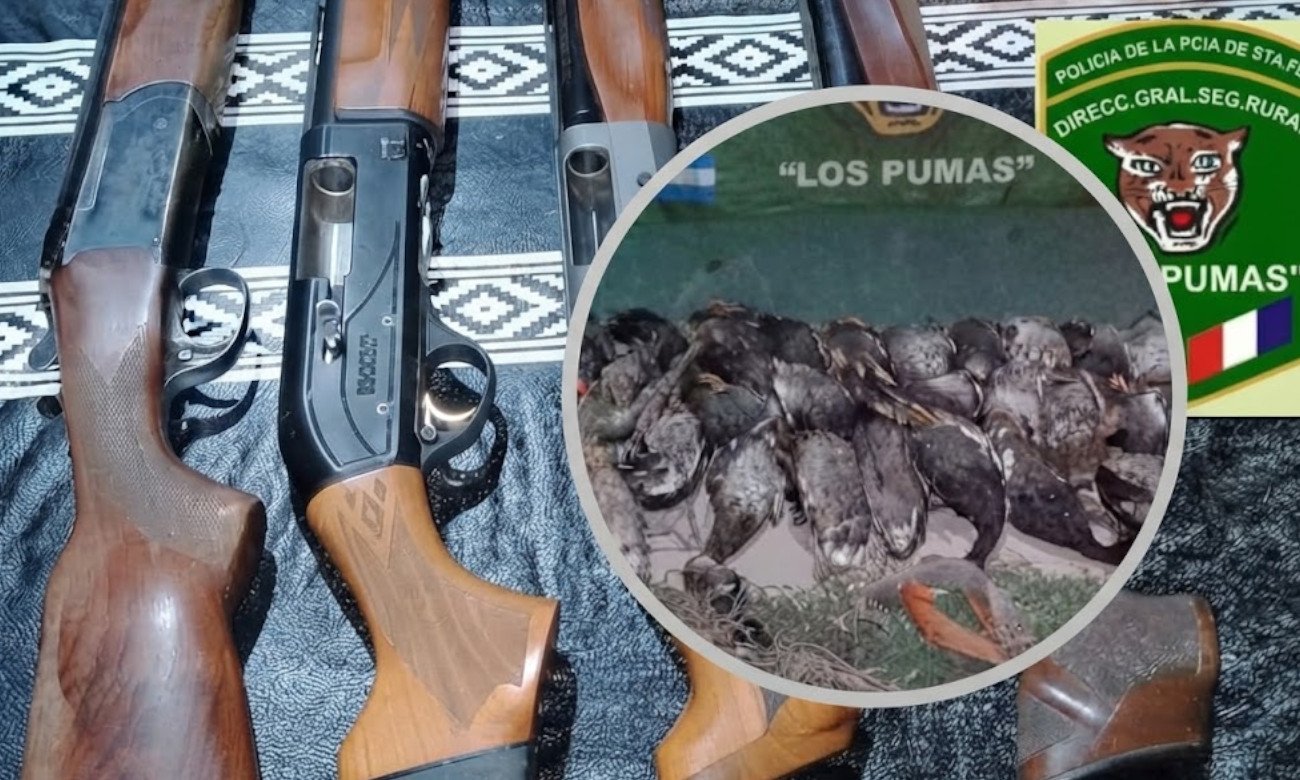 Las escopetas y los patos silvestres secuestrados durante el procedimiento realizado por la Guardia Rural Los Pumas en Huanqueros. Foto: Los Pumas.