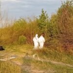 Lugar donde fue hallado el cuerpo calcinado, en inmediaciones de la ruta provincial S22 y el arroyo Saladillo, en Villa Gobernador Gálvez. Foto: gentileza.