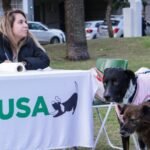 El Imusa brinda servicios gratuitos de atención y cuidado para animales de compañía en la ciudad de Santa Fe.