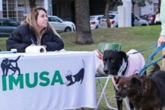 El Imusa brinda servicios gratuitos de atención y cuidado para animales de compañía en la ciudad de Santa Fe.