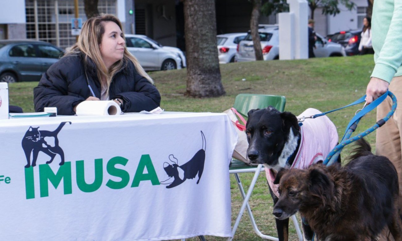 El Imusa brinda servicios gratuitos de atención y cuidado para animales de compañía en la ciudad de Santa Fe.