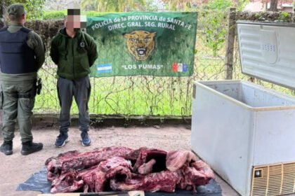 Efectivos de la Guardia Rural Los Pumas realizaron tareas de investigación y un procedimiento por un presunto hecho de abigeato en la zona de San José del Rincón.