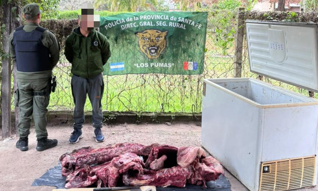 Efectivos de la Guardia Rural Los Pumas realizaron tareas de investigación y un procedimiento por un presunto hecho de abigeato en la zona de San José del Rincón.