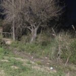 Lugar donde fue encontrado el cuerpo sin vida de un hombre, a la vera de la ruta 19, en Santo Tomé. Foto: gentileza.