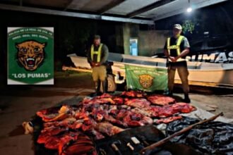 Personal de Los Pumas secuestró aproximadamente 300 kilos de cortes de carne vacuna durante un procedimiento en una zona de islas de Colonia Mascías.