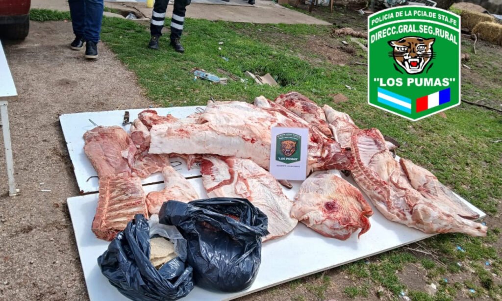 Carne y productos cárnicos secuestrados durante el operativo realizado en una carnicería clandestina de Venado Tuerto. Foto: fuentes policiales.