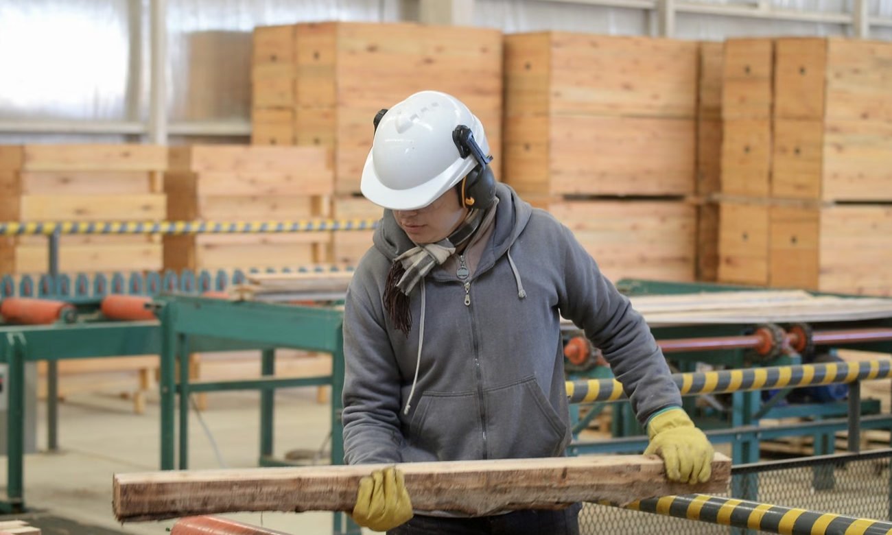 El empleo formal y los salarios reflejan la evolución del mercado laboral argentino.