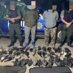 Operativo de la Guardia Rural Los Pumas en la zona de islas de Santa Rosa de Calchines, donde secuestraron armas de fuego y ejemplares de fauna silvestre.