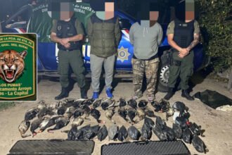 Operativo de la Guardia Rural Los Pumas en la zona de islas de Santa Rosa de Calchines, donde secuestraron armas de fuego y ejemplares de fauna silvestre.