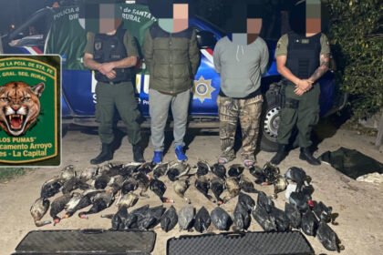 Operativo de la Guardia Rural Los Pumas en la zona de islas de Santa Rosa de Calchines, donde secuestraron armas de fuego y ejemplares de fauna silvestre.