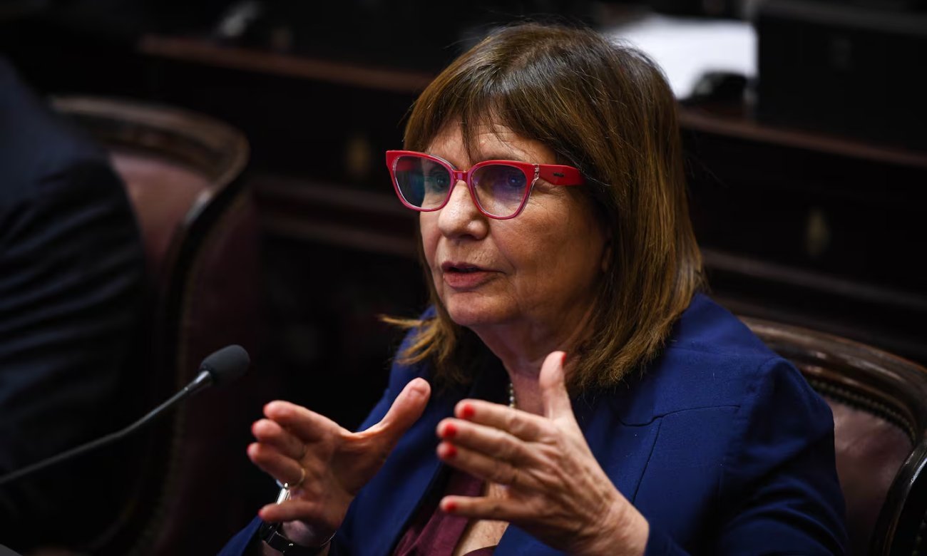 Patricia Bullrich, senadora nacional y referente de La Libertad Avanza.