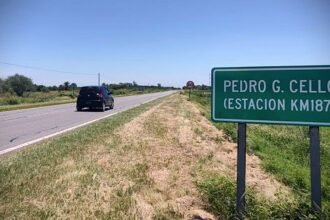 Pedro Gómez Cello, localidad del norte del departamento San Justo, busca ser reconocida como Capital Provincial del Trabajador Forestal. Foto de archivo.