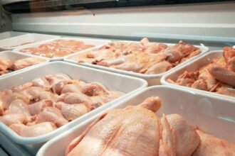 El consumo de pollo ganó participación entre las carnes elegidas por los argentinos. Foto de archivo.