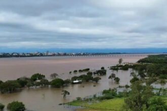 El río Uruguay y sus zonas costeras, en una región donde las crecidas pueden afectar campos, caminos rurales y la actividad ganadera. Foto de archivo.