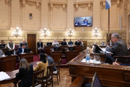 Sesión de la Cámara de Senadores de la provincia de Santa Fe, presidida por Felipe Michlig, durante el tratamiento de proyectos e iniciativas de interés para la provincia.