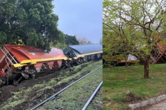 El tren de Belgrano Cargas descarriló en calle Vélez Sarsfield, en el norte de Santa Fe capital. Foto: gentileza.